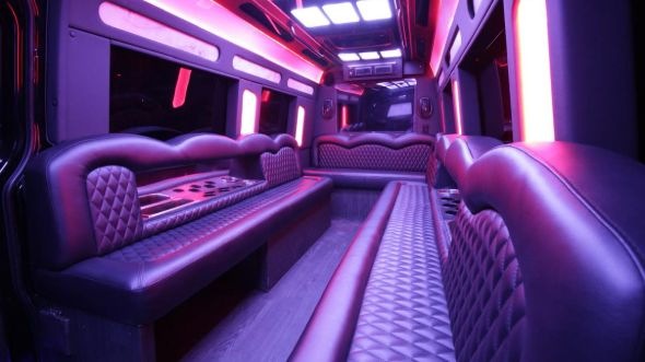 goose creek sprinter limo rental interior